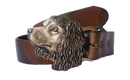 Boykin Spaniel - Sporting Classics Store