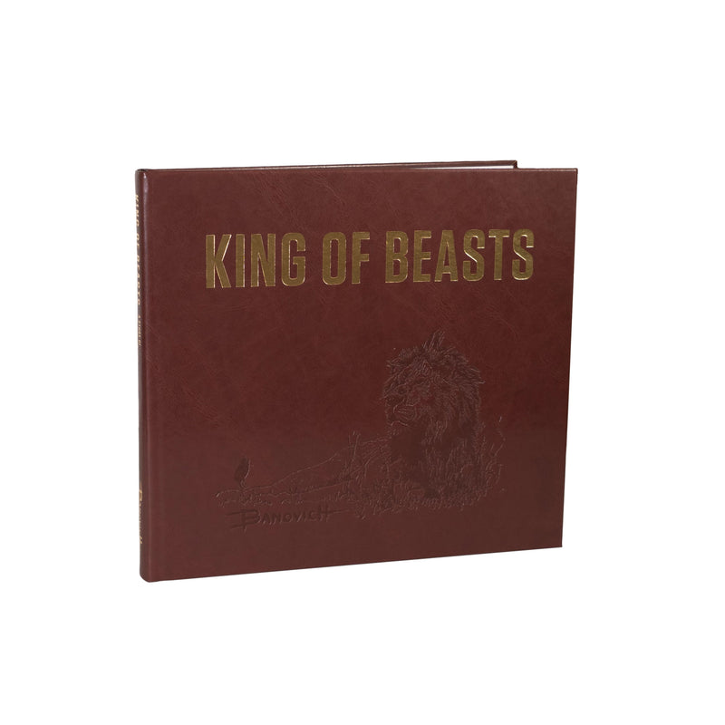 King of Beasts: A Study of the African Lion - Deluxe Edition - Sporting Classics Store