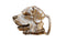 Labrador Retriever (Poli) - Sporting Classics Store