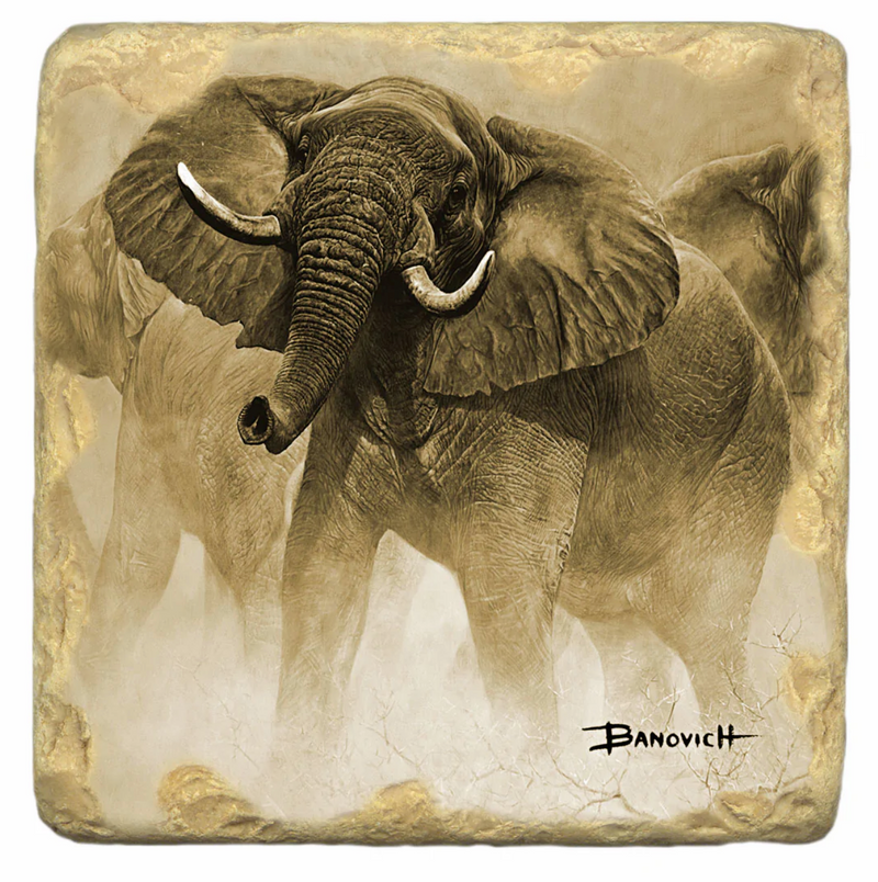 African Elephants Marble Coasters by John Banovich